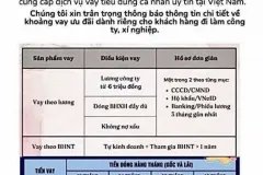 Công ty hỗ trợ tài chính Shinhan Finance