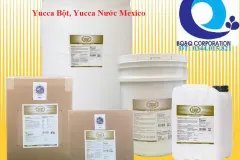 Yucca Bột, yucca nước nguyên liệu Mexico, hấp thu khí độc, bổ sung thức ăn cho v