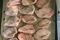 Cung cấp tai heo đông lạnh giá sỉ tại Hà Nội