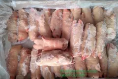 Móng Giò Heo Đông Lạnh Giá Rẻ Tại Hà Nội