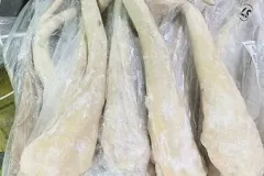 Cung cấp đuôi trâu Ấn Độ chất lượng cao tại Hà Nội