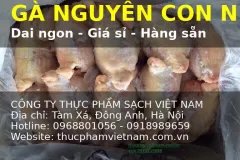 Gà Nguyên Con Đông Lạnh Hàng Nhập Khẩu
