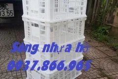 Sọt chế biến thực phẩm trong kho lạnh, sọt nhựa rỗng- sóng hở
