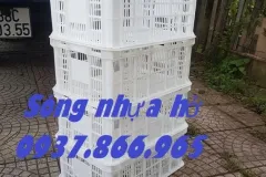 Sọt nhựa chế biến thực phẩm tại Hà Nội