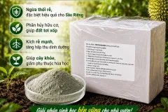 Trichoderma Harzianum 5×10⁹ CFU/g – Nấm Đối Kháng Bảo Vệ Đất & Rễ Cây