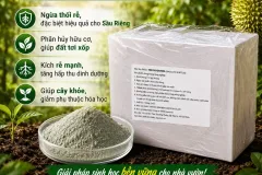 Nấm Trichoderma Harzianum cho cây trồng tại Vĩnh Long