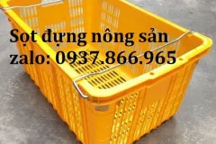 Địa chỉ cung cấp sọt có quai sắt uy tín tại Hà Nội, sọt nhựa nguyên sinh, sọt có