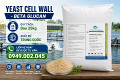 Cung cấp Yeast Cell Wall cho thức ăn thủy sản tại Cà Mau
