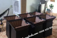 Rổ trưng bày trái cây tại Bình Thạnh, TP.HCM