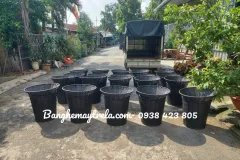 Giỏ trưng trái cây