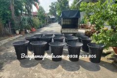 Khay mây trưng bày hoa quả tại TP. Hồ Chí Minh