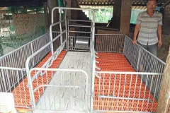 Chuồng heo nái đẻ giá rẻ tại Gia Lai 5,6 triệu