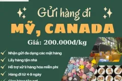 Gửi hàng đi USA, Canada - Tiến Việt Express