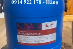 Men vi sinh Bacillus Megaterium cho vật nuôi tại TPHCM