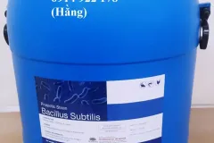 Bacillus Subtilis, men vi sinh đường ruột, bổ sung vào thức ăn vật nuôi