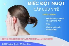 Cấp cứu y tế cho bệnh điếc đột ngột tại Ninh Bình