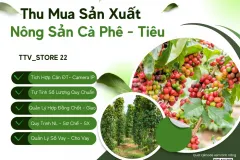 Phần mềm quản lý mua bán, gia công Cafe, Tiêu