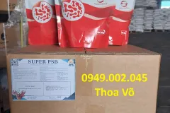 Vi khuẩn quang hợp xử lý nước ao nuôi tại Cà Mau
