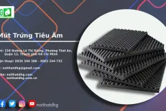 GIẢI PHÁP TIÊU ÂM HIỆU QUẢ VỚI MÚT TRỨNG TẠI NỘI THẤT DHG