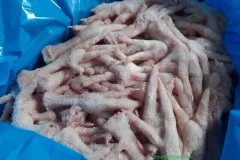 Báo Giá Chân Gà Đông Lạnh Nhập Khẩu Theo Thùng