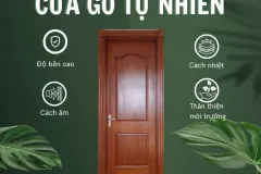 Cửa Gỗ Tự Nhiên Sự Đầu Tư Xứng Tầm Cho Không Gian Sống Đẳng Cấp
