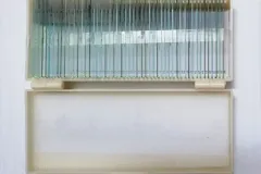 Bộ 50 mẫu tiêu bản cho kính hiển vi