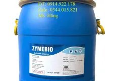 Enzyme Cellulase , enzyme tiêu hóa, phân hủy gốc rạ, xác lá cây, xác tảo