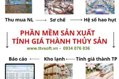 Quản lý kinh doanh, sản xuất doanh nghiệp chế biến thủy hải sản