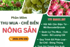 Phần mềm kinh doanh, chế biến nông sản