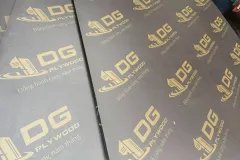 Ván ép phủ phim giá rẻ