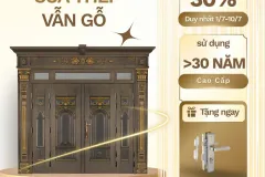 Cửa thép vân gỗ bền đẹp tại Thành phố Hồ Chí Minh