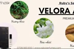 Body Mist Velora Armani 20ML – Chuẩn hương Armani, lưu hương đến 6h