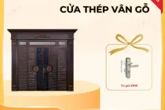 Cửa thép vân gỗ hiện đại tại Thành phố Hồ Chí Minh