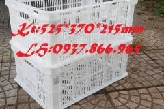 Thùng nhựa cao cấp tại Hà Nội