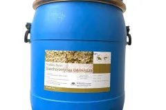Nấm men đơn bào Sachharomyces Cerevisiae, giúp tôm cá tăng trưởng