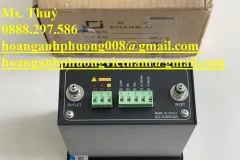 Chang-Ai P860-4N - Bộ hiển thị phân tích khí Nito - Hàng mới 100%