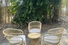 Bàn ghế mây tự nhiên uống trà giá rẻ