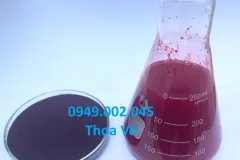 Astaxanthin 10% cho thủy sản tại Vĩnh Long