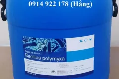 Men vi sinh Bacillus Polymyxa cho vật nuôi tại TPHCM