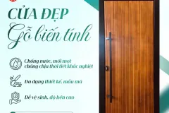 Cửa gỗ biến tính bền vững tại TP. Hồ Chí Minh