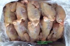 Gà Nguyên Con Thịt Gà Nhập Khẩu Giá Rẻ