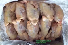 Bán gà nguyên con nhập khẩu giá rẻ tại Hà Nội