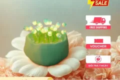 Đèn ngủ LED hoa Tulip tại TP. Hồ Chí Minh