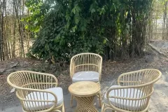 Ghế mây tự nhiên hiện đại tại Thành phố Hồ Chí Minh