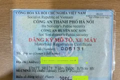 Bán xe máy SH 125 màu mận tại Hà Nội giá 85 triệu