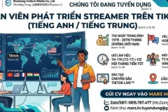 Tuyển nhân viên phát triển streamer TikTok tại Hà Nội