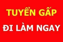 Tuyển NV phục vụ suất ăn tại Quận 1, TP.HCM