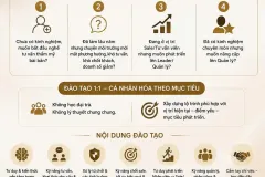 ĐÀO TẠO 1:1 TƯ VẤN VIÊN NGÀNH THẨM MỸ – HỌC ĐỂ LÀM ĐƯỢC, LÀM ĐỂ CÓ DOANH SỐ