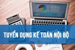 Tuyển kế toán nội bộ tại Bình Thạnh