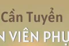 Tuyển nhân viên phục vụ quán nhậu ở Q10